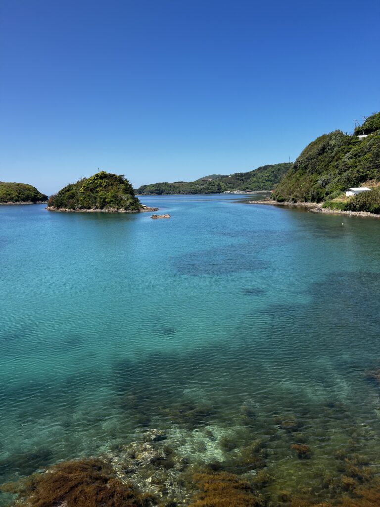 [PANDASTICK] 海 夏 風景 感性 海水浴場 ★eco ★綿100% すっかり夏景色です🌴 暑いのはつらいですが、目の前の海は